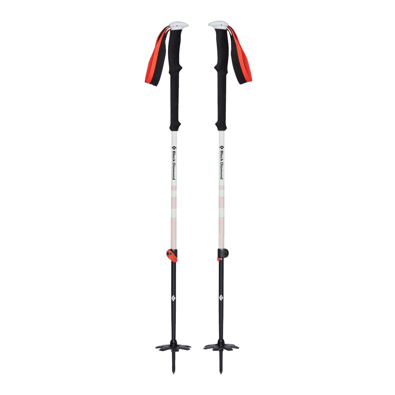 111589_0000_EXPEDITION 2 SKI POLES_NO COLOR_01_