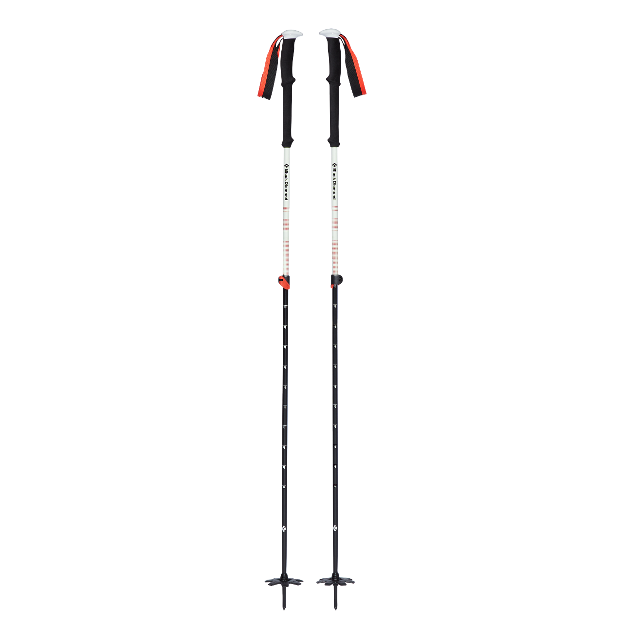 111589_0000_EXPEDITION 2 SKI POLES_NO COLOR_02_