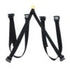 BothStraps-100x100