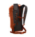 Dragonfly18-redclay-back-web