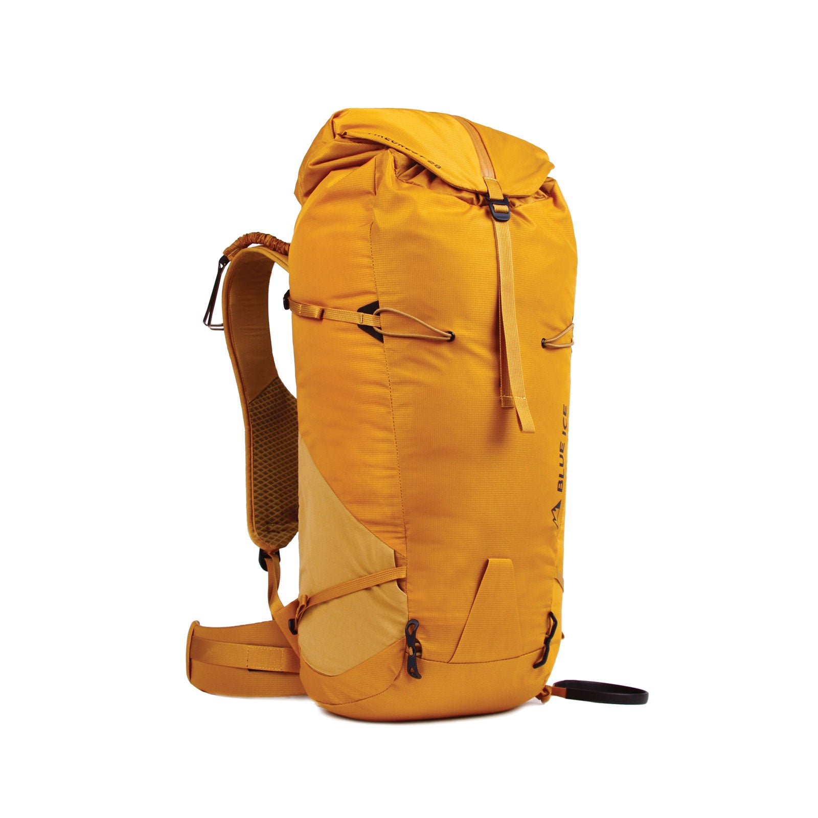 Firecrest-1front-web