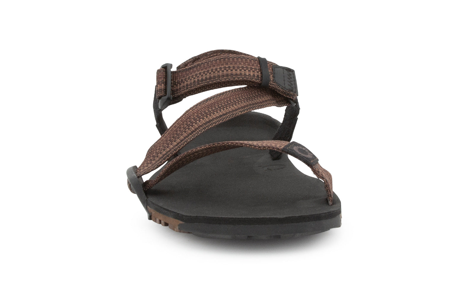TTM-MBRN_Z-Trail EV - Multi-Brown_Front_0066