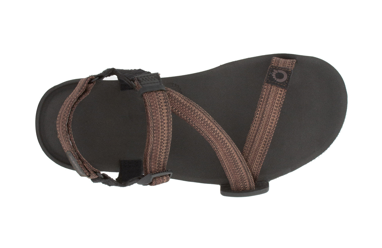 TTM-MBRN_Z-Trail EV - Multi-Brown_Top_0081