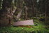 ZMORA-Mayfly-Green-1920x1280-01