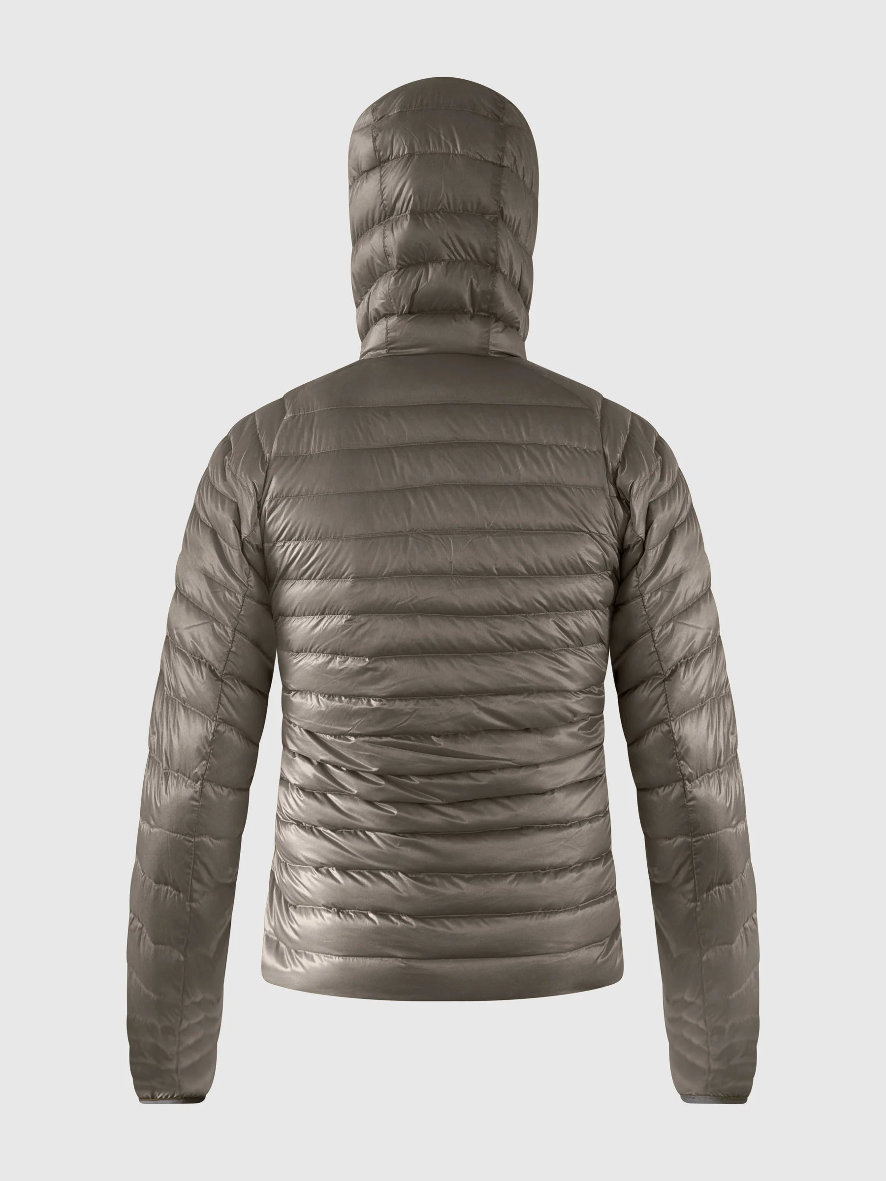 kalapathar_grey_back